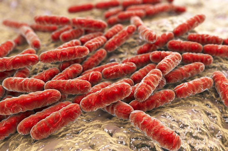 Kombinacija probiotika mogla bi smanjiti učestalost sindroma toksičnog šoka