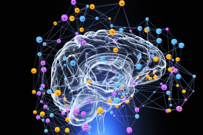 Psilocibin rekonfigurira moždane mreže, pokazujući potencijal za trajne terapeutske učinke